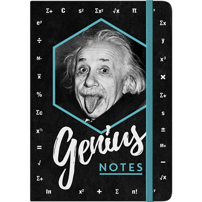 Hovedbilde Einstein Genius Notes
