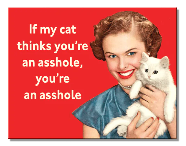 Hovedbilde If My Cat